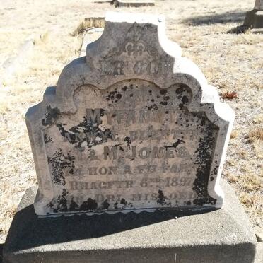 JONES Myfanwy Anwyl Blentyn -1897