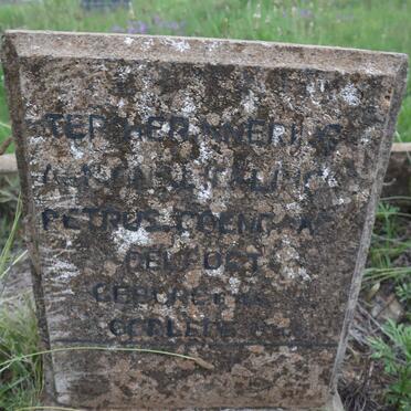 DELPORT Petrus Jacobus 1918-1967 &amp; Francina Johanna V.D. LINDE 1917-1999 :: DELPORT Petrus Coenraad