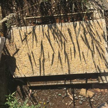 E - Surnames :: Vanne - E