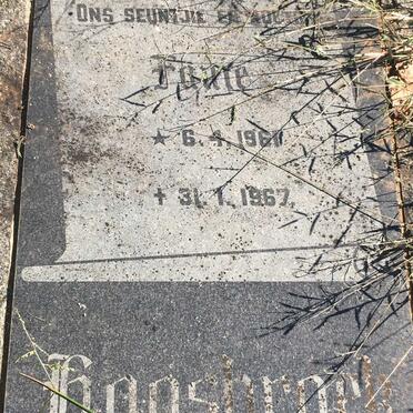 HAASBROEK Fanie 1961-1967