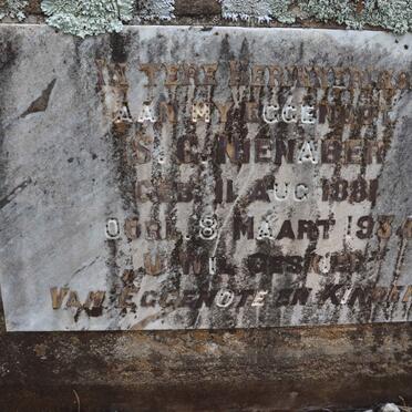 NIENABER S.G. 1881-1934