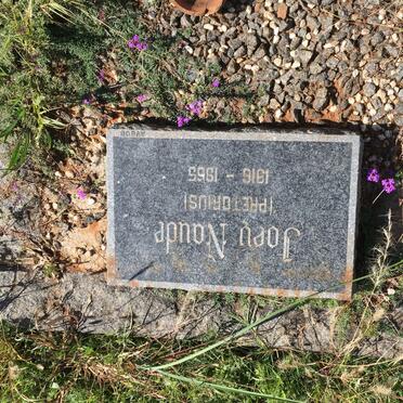 NAUDE Joey nee PRETORIUS 1916-1965
