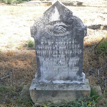 ODENDAAL Danie 1844-1920 &amp; Pulcher 1865-1938