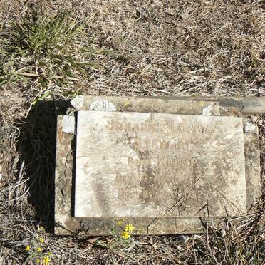 STEWART Johanna Louisa nee KLEMP 1885-1927