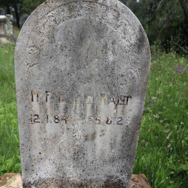 WALT H.F.L., v.d. 1884-1929