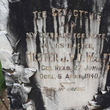 WALDT Hester J., v.d. 1868-1940