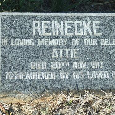 REINECKE Attie -1917