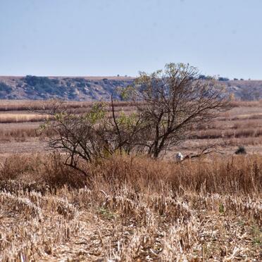 1. Overview / Oorsig