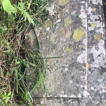 Free State, BETHLEHEM district, near Paul Roux, Palmietfontein 5, farm cemetery