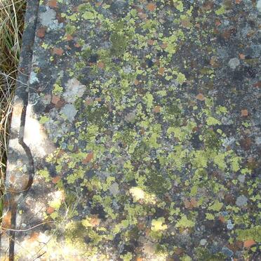 Free State, BETHLEHEM district, Clarens, Schaapplaats, farm cemetery