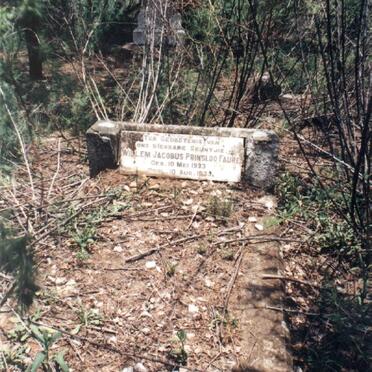 FAURE Willem Jacobus Prinsloo 1933-1933