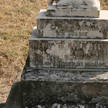 D - Vanne :: Surnames - D