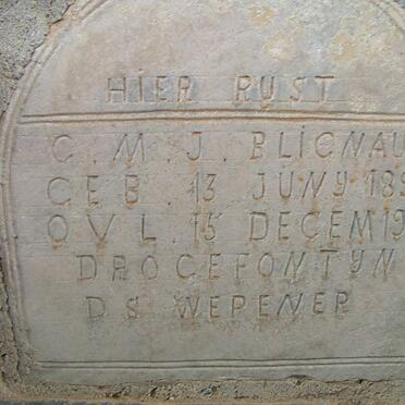 BLIGNAUT G.M.J. 1891-1901