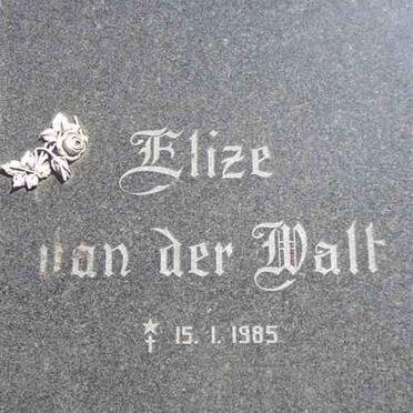WALT Elize, van der 1985-