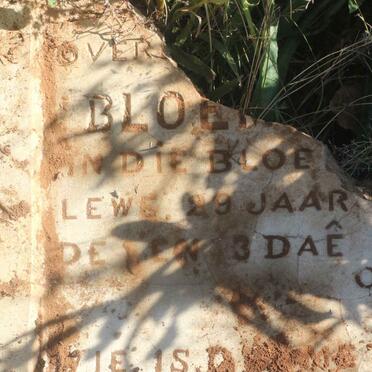 SMITH Catharina J. nee GROBBELAAR -1919