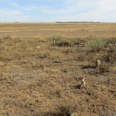 Free State, BLOEMFONTEIN district, De Brug, De Aar 658_1, farm cemetery
