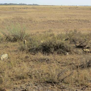 3. Overview / Oorsig