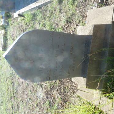 ZYL Jacomina Elizabeth, van -1923