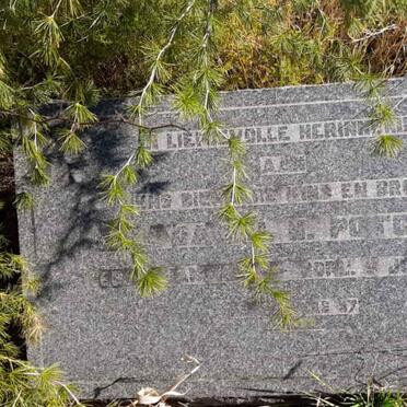 Free State, BOTHAVILLE district, Lambrechtsfontein 273, farm cemetery