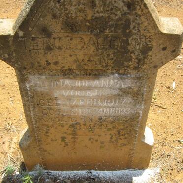 V - Vanne __ Surnames - V