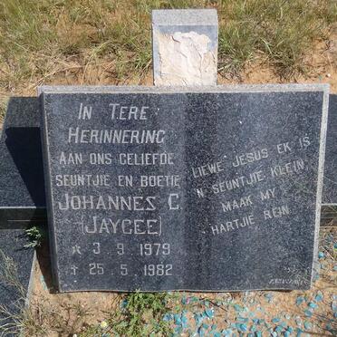 ? Johannes C. 1979-1982