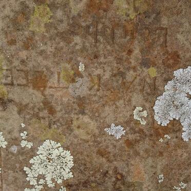 KOTZEE David Jacobus 1848-1915 &amp; Maria Helena LUBBE 1854-1897