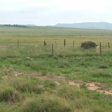 Free State, DEWETSDORP district, Unknown farm cemetery 11