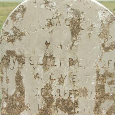 VENTER W.C. 1849-1908