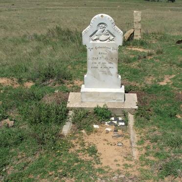 Free State, DEWETSDORP district, Unknown farm cemetery 15