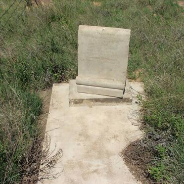 HENNING M.M.S. nee OLIVIER 1869-1941