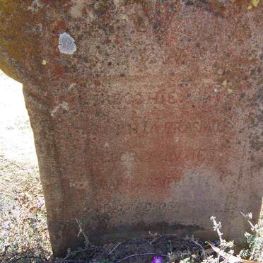 E - Surnames :: Vanne - E