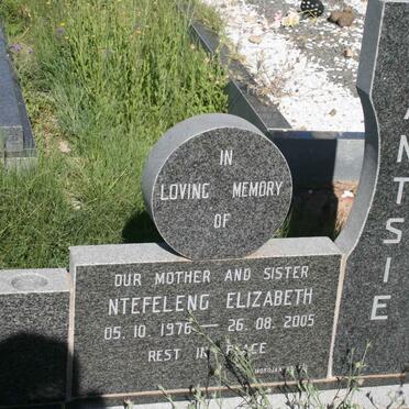 N - Vanne :: Surnames - N