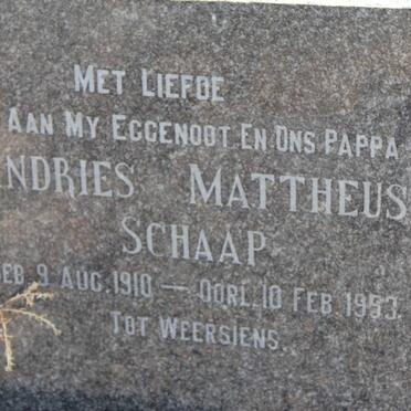 SCHAAP Andries Mattheus 1910-1953