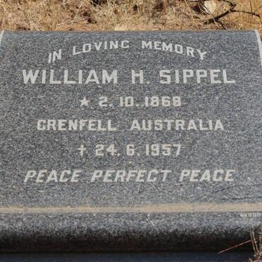 SIPPEL William H. 1869-1957