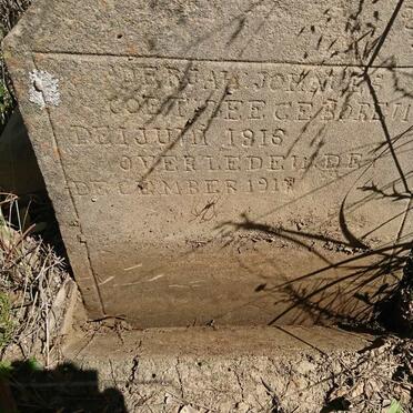 COETZEE ? Johannes 1915-1917