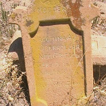 OBERHOLZER Jacomina A.J. nee GRIESEL 1858-1921