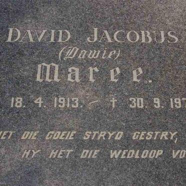 MAREE David Jacobus 1913-1975