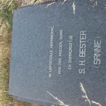 BESTER S.H. 1911-1999