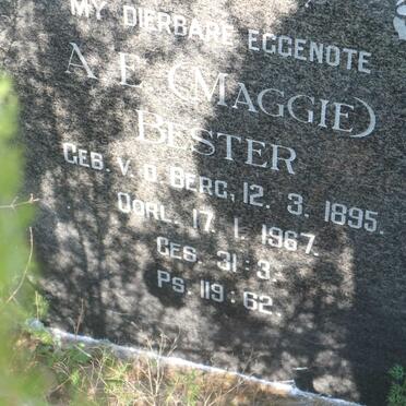 BESTER A.E. nee V.D. BERG 1895-1967