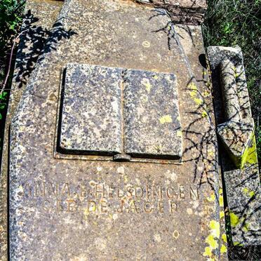 HELSDINGEN Anna E. nee DE JAGER