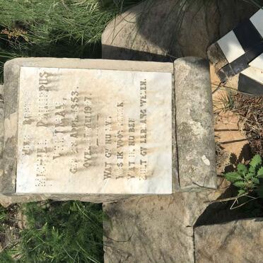 Free State, FOURIESBURG district, Welbedacht 187 (Brandvlei), farm cemetery