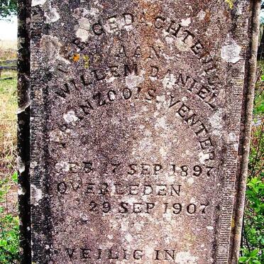 Free State, FOURIESBURG district, Hesbon 197, farm cemetery