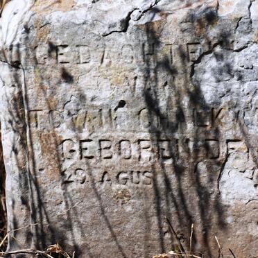 SCHALKWYK J. C., van