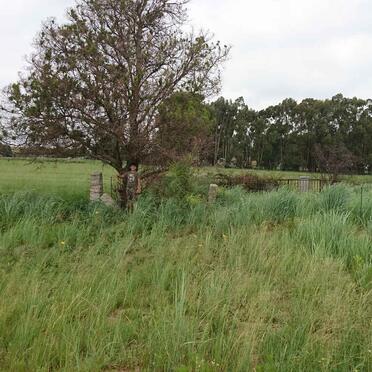 Free State, FRANKFORT district, Erfenis 401, farm cemetery