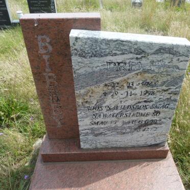 BIBBEY Adriaan 1943-1998