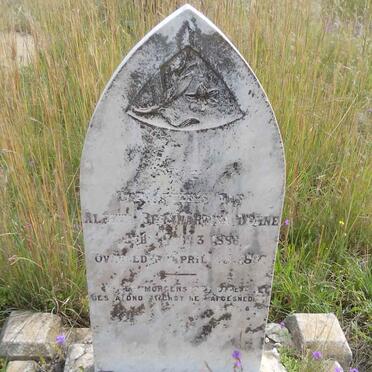 DOHNE Aletta Bernhardina 1886-1887