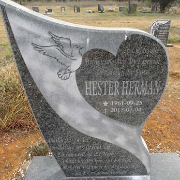 HERMAN Hester 1961-2017