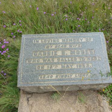 MOSES Carrie S. -1923