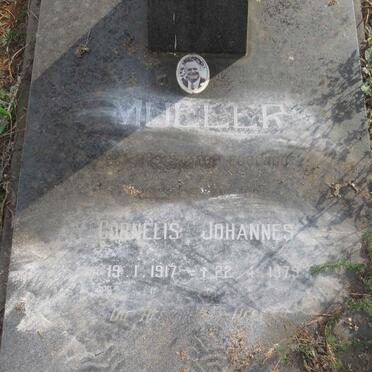 MULLER Cornelis Johannes 1917-1979 