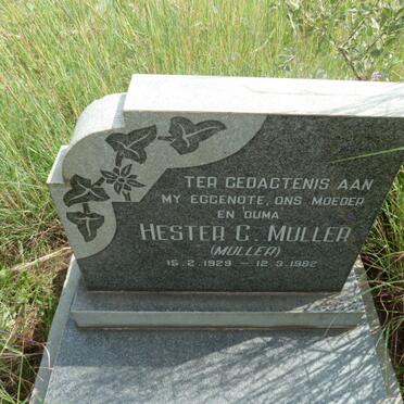MULLER Hester C. nee MULLER 1929-1982